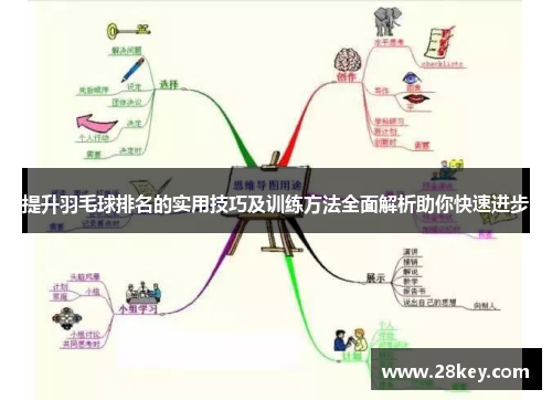 提升羽毛球排名的实用技巧及训练方法全面解析助你快速进步